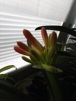 IMG_20260225_101333_022.jpg