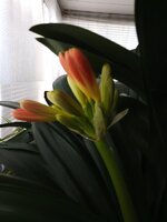 IMG_20260225_101413_709.jpg