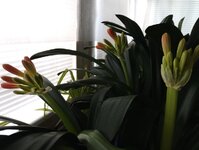 IMG_20260225_101434_799.jpg