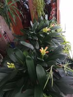 IMG_20260225_100914_391.jpg