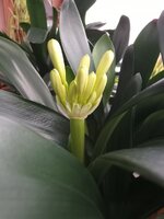 IMG_20260225_101207_248.jpg