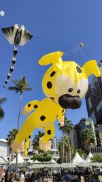 IMG_20260301_152457.jpg