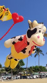 IMG_20260301_151507.jpg