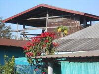 DSCN6508.JPG