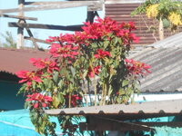 DSCN6509.JPG