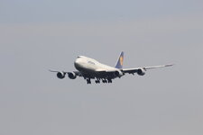 Duitsland-Frankfurt ''Flughafen-Lufthansa Boeing 747'' (25).JPG