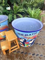 K800_IMG_1810-transformed.jpeg K800_IMG_1810-transformed.jpeg