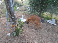 DSCN6054.JPG