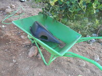DSCN6055.JPG