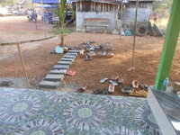 DSCN6108.JPG