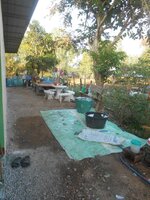 DSCN6104~2.JPG