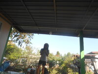 DSCN6136.JPG