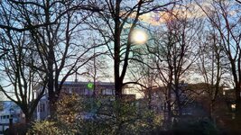 20260302_083517.jpg