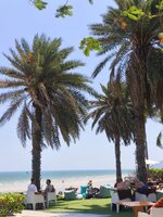 IMG_20260304_123010.jpg