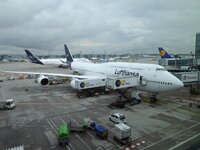 Duitsland-Frankfurt ''Flughafen-Lufthansa Boeing 747-8 Köln'' (2).JPG