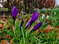 20260225_093620.jpg