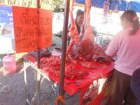 DSCN5888.JPG DSCN5888.JPG