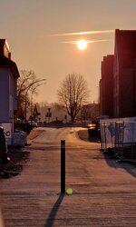 20260304_080228.jpg