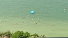 IMG_20260305_111724.jpg