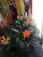 IMG_20260304_104346_961.jpg