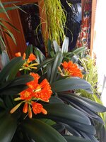IMG_20260304_104437_574.jpg
