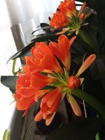 IMG_20260304_104510_868.jpg