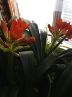 IMG_20260304_104547_022.jpg