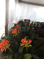 IMG_20260304_104244_593.jpg