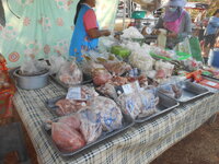 DSCN5914.JPG DSCN5914.JPG