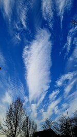 20260226_090859.jpg
