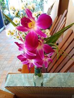 IMG_20260116_091317_317.jpg