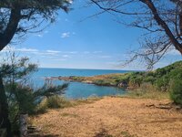 20211209_131957.jpg 20211209_131957.jpg