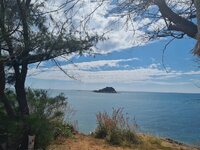 20211209_131914.jpg 20211209_131914.jpg