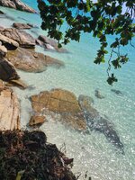 20211209_114926.jpg 20211209_114926.jpg