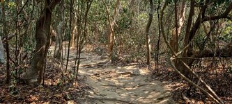 20260116_104720.jpg 20260116_104720.jpg