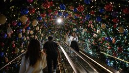 Bildschirmfoto 2026-03-13 um 22.49.07.jpg