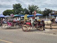 f2t899p32628n5_AJBQwahK.jpg f2t899p32628n5_AJBQwahK.jpg