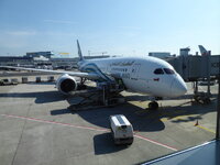 Duitsland-Frankfurt ''Flughafen-Oman Air-Airbus A350''.JPG