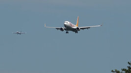Duitsland-Frankfurt ''Flughafen-Pegasus Boeing 737-800'' (1).jpg