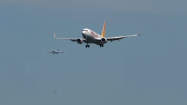 Duitsland-Frankfurt ''Flughafen-Pegasus Boeing 737-800'' (2).jpg