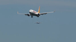 Duitsland-Frankfurt ''Flughafen-Pegasus Boeing 737-800'' (3).jpg