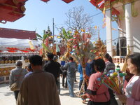 DSCN7822.JPG DSCN7822.JPG