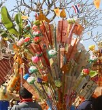 DSCN7822~3.JPG DSCN7822~3.JPG