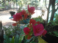 DSCN8294.JPG