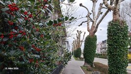Frühling am Weg (24).jpg