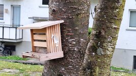 Frühling am Weg (27).jpg
