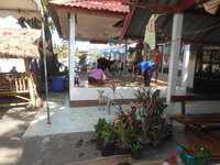 DSCN7850.JPG DSCN7850.JPG