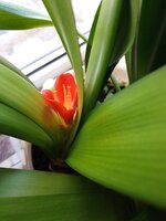 IMG_20260315_141246_519.jpg