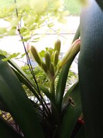 IMG_20260315_141223_055.jpg