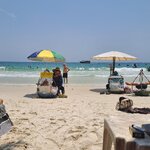 20260318_121129.jpg 20260318_121129.jpg